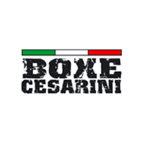 Boxe Cesarini